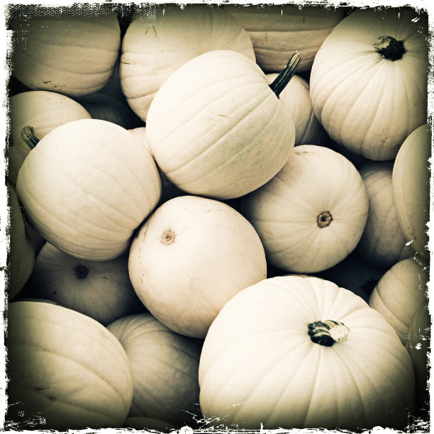 幽灵南瓜图片下载