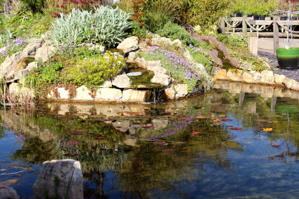 带有瀑布和假山的庭院鱼塘图片图片下载