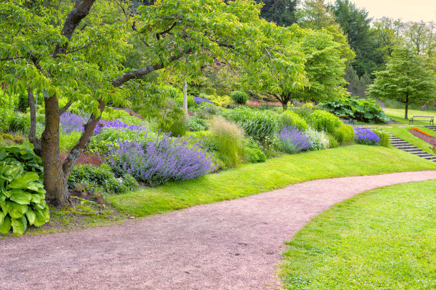 美丽的哥德堡花园和小径图片下载
