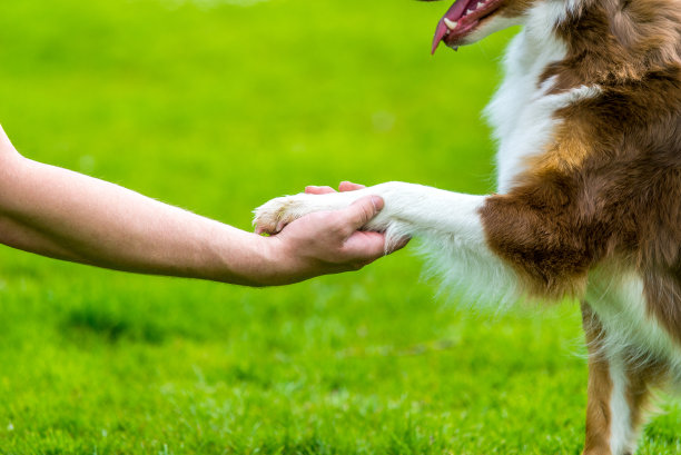 真正的友谊图片下载