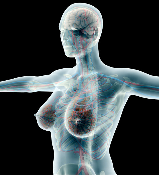 解剖一个女人的黑色与剪切路径图片下载