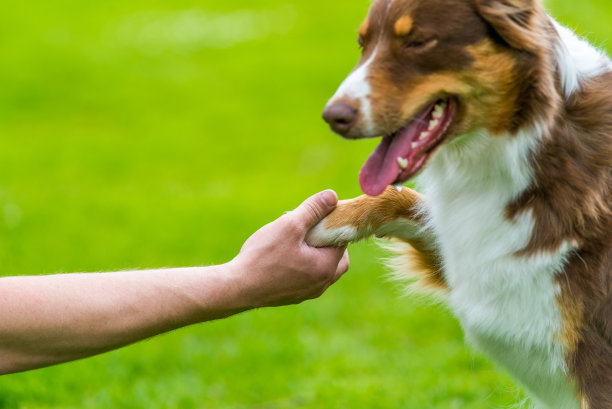真正的友谊图片下载