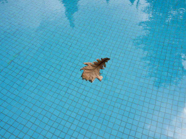 游泳池里的死假图片下载