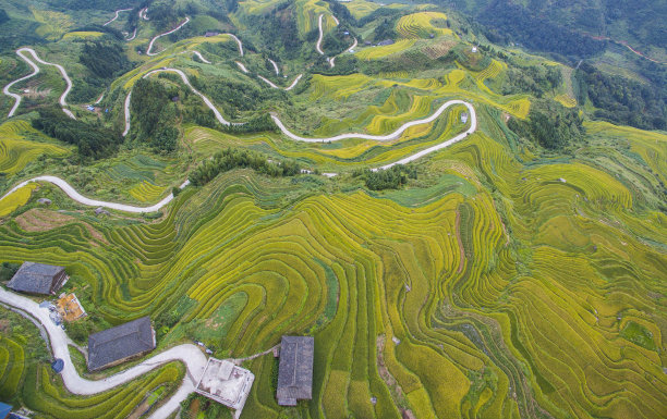 空中龙脊梯田图片下载