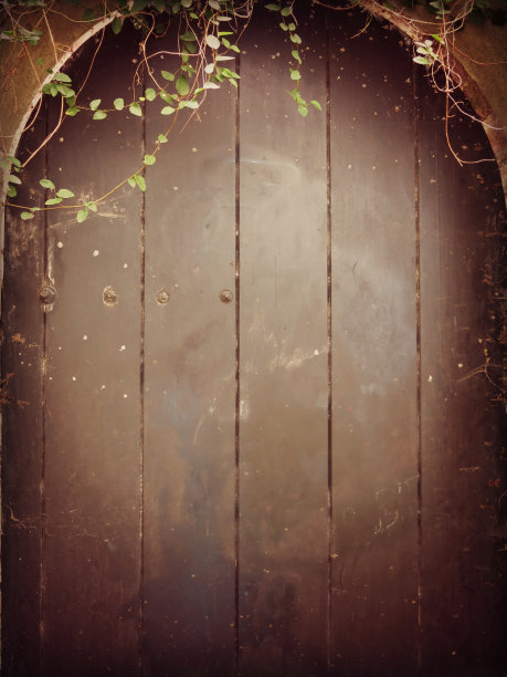 魔法矮人或精灵黑色门与藤蔓植物图片下载