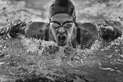 蝶泳游泳图片下载