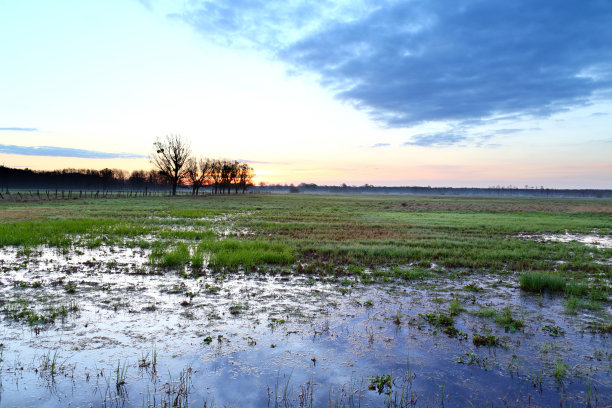 农村湿地图片下载