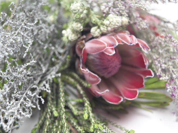 温柔漂亮图片下载