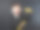 可爱的亚洲小孩功夫图片下载