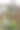 巴西南部的格兰多图片下载
