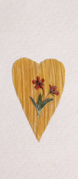 花朵的心图片下载