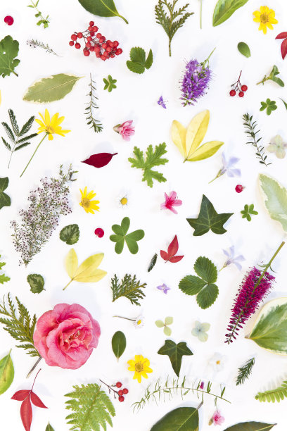 明亮的春天图片下载