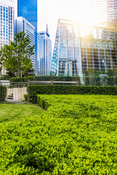 绿色城市公园图片下载