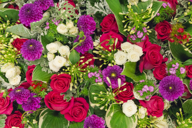 各种各样的花从上面图片下载