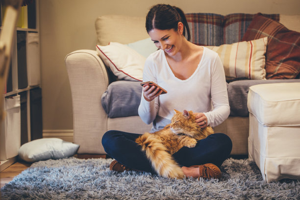 沙发图片素材ID：149458216