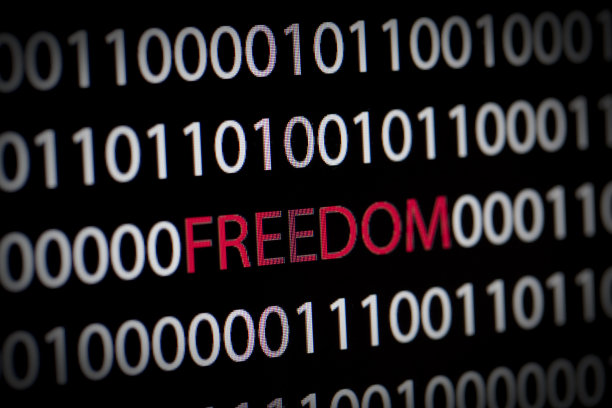 网络自由图片下载