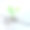 有希望的图片素材ID：149468938