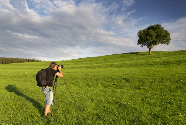 自然摄影师在一棵树前的绿色草地上图片下载