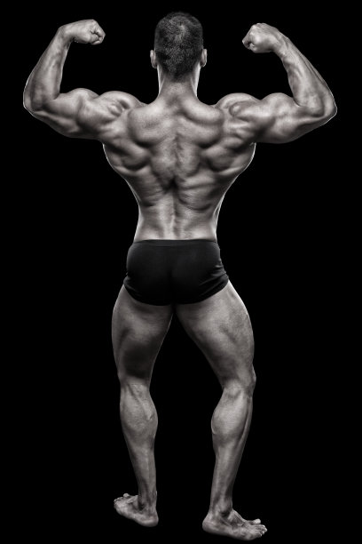 完美的身体图片下载