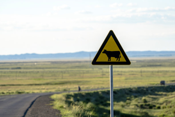 乡村公路旁的动物警示标志图片下载