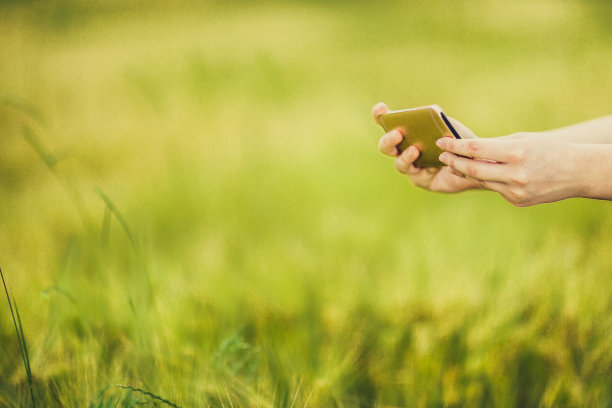 女人手拉手，使用智能手机图片下载
