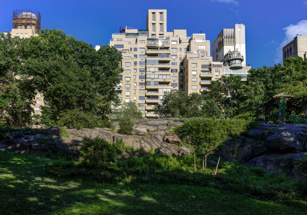 纽约第五大道的中央公园和住宅楼。图片下载