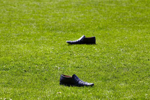 草地上的黑皮鞋图片下载