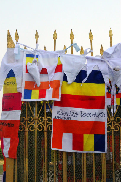 尼泊尔:蓝毗尼的阿育王柱图片下载