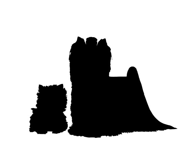 剪影的约克夏梗和小狗孤立在白色图片下载