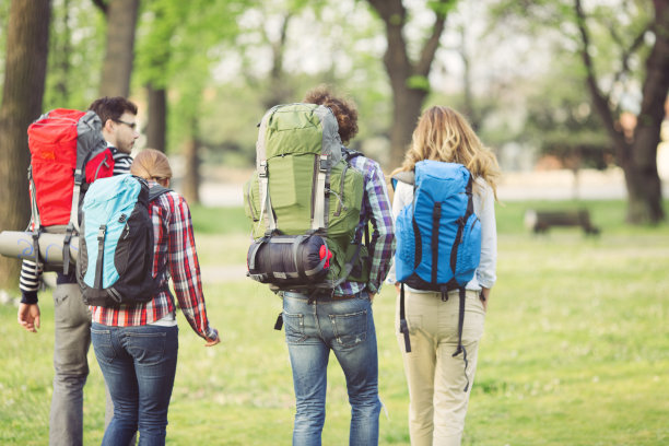公园里年轻背包客的背影。图片下载