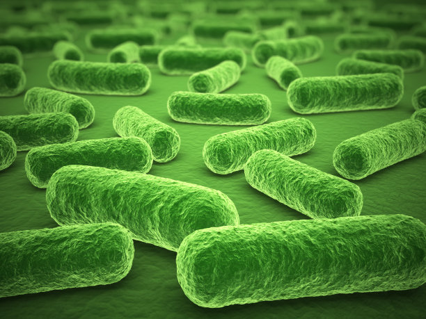 细菌的特写镜头图片下载