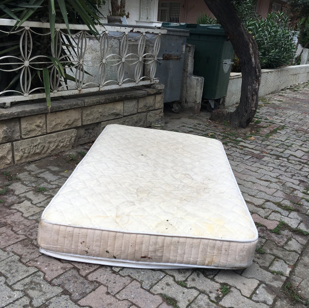 公共双床图片下载