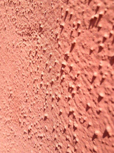 背景墙图片下载