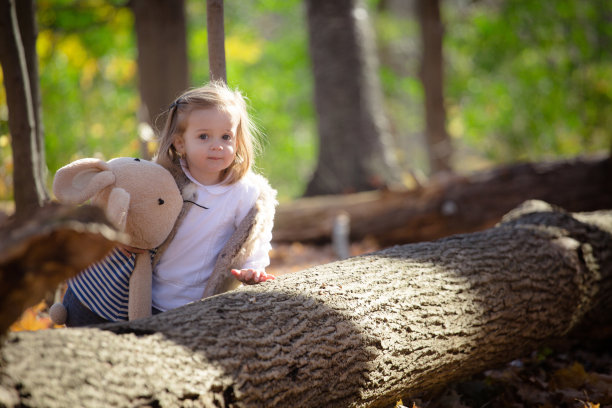 小女孩和泰迪熊在森林里图片下载