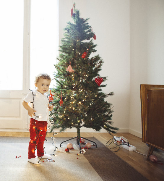 男孩装饰圣诞树图片下载