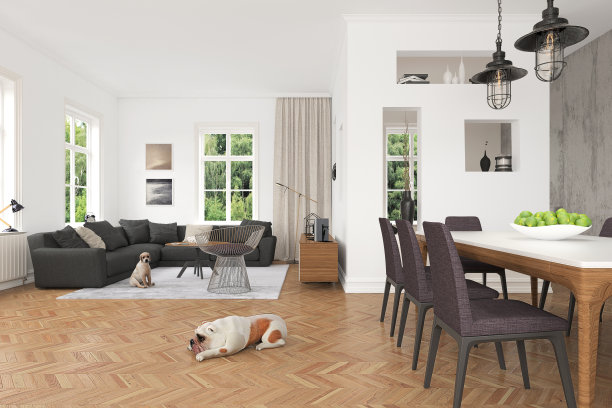 公寓内部展示了客厅和餐厅素材图片