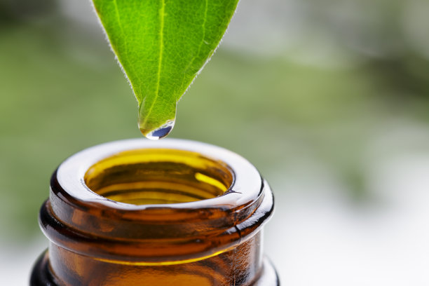 叶子上有一滴水图片下载