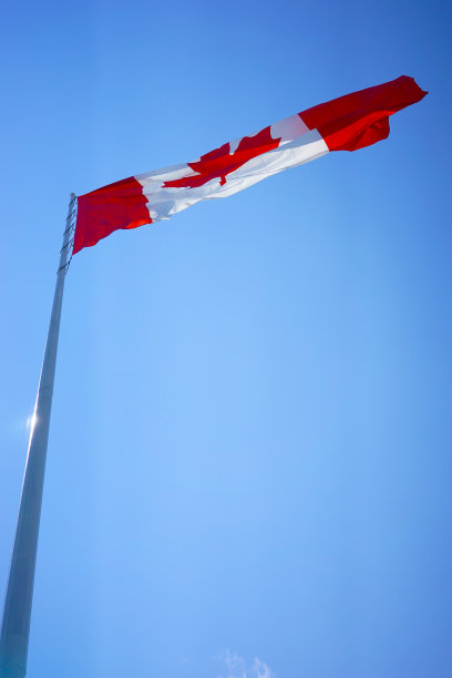 挥舞着加拿大的国旗图片下载