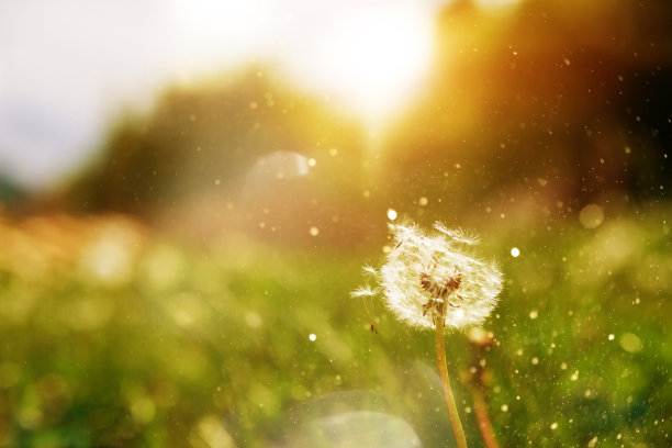 春天来了图片下载