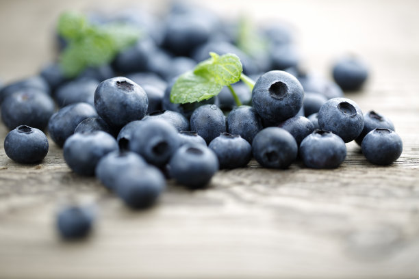 蓝莓素材图片