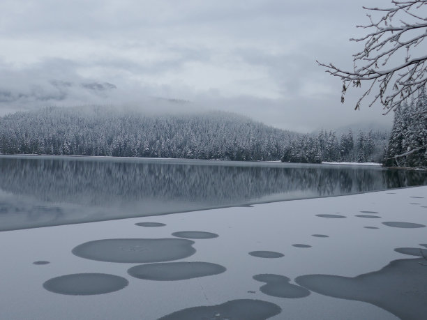 冬季景观湖图片下载