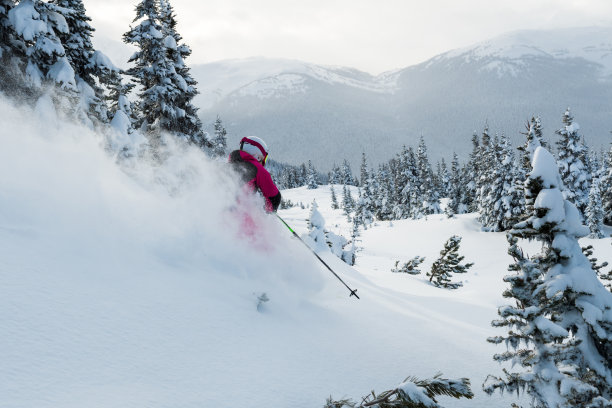 滑雪新鲜粉图片下载