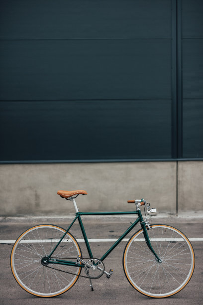 绿色复古自行车的肖像图片下载