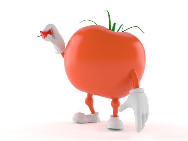 toon番茄图片下载