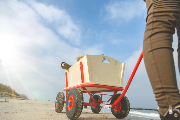 所有的地形，孩子们的马车在海滩上图片下载