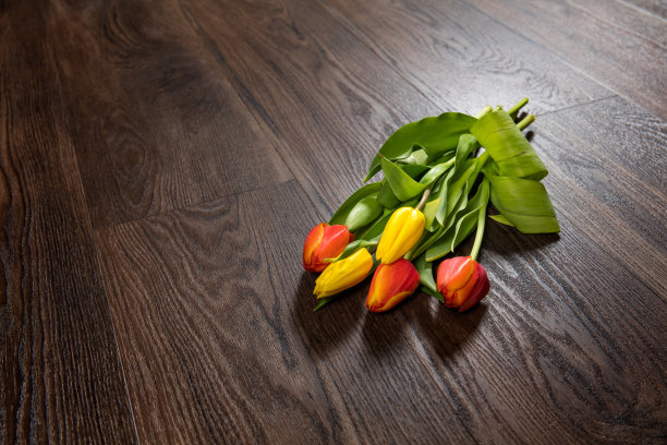 层压覆盖郁金香图片下载