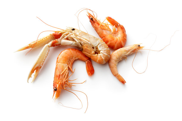 海鲜:海螯虾，对虾和虾孤立在白色背景图片下载
