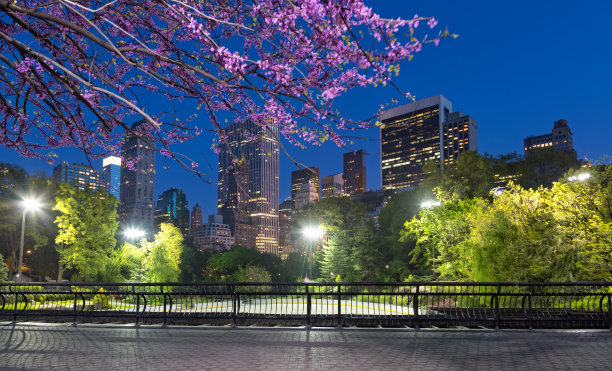 春天晚上的中央公园图片下载