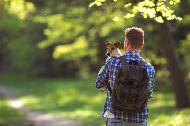 享受散步图片下载