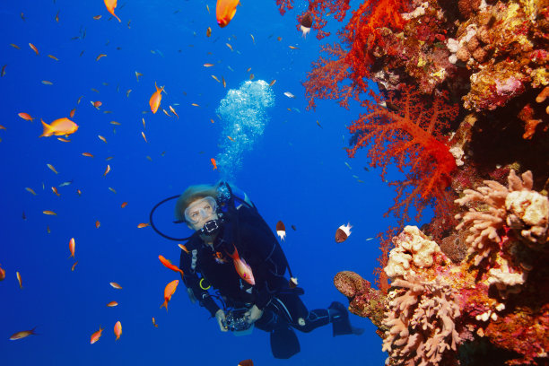 海底图片素材ID：149643538